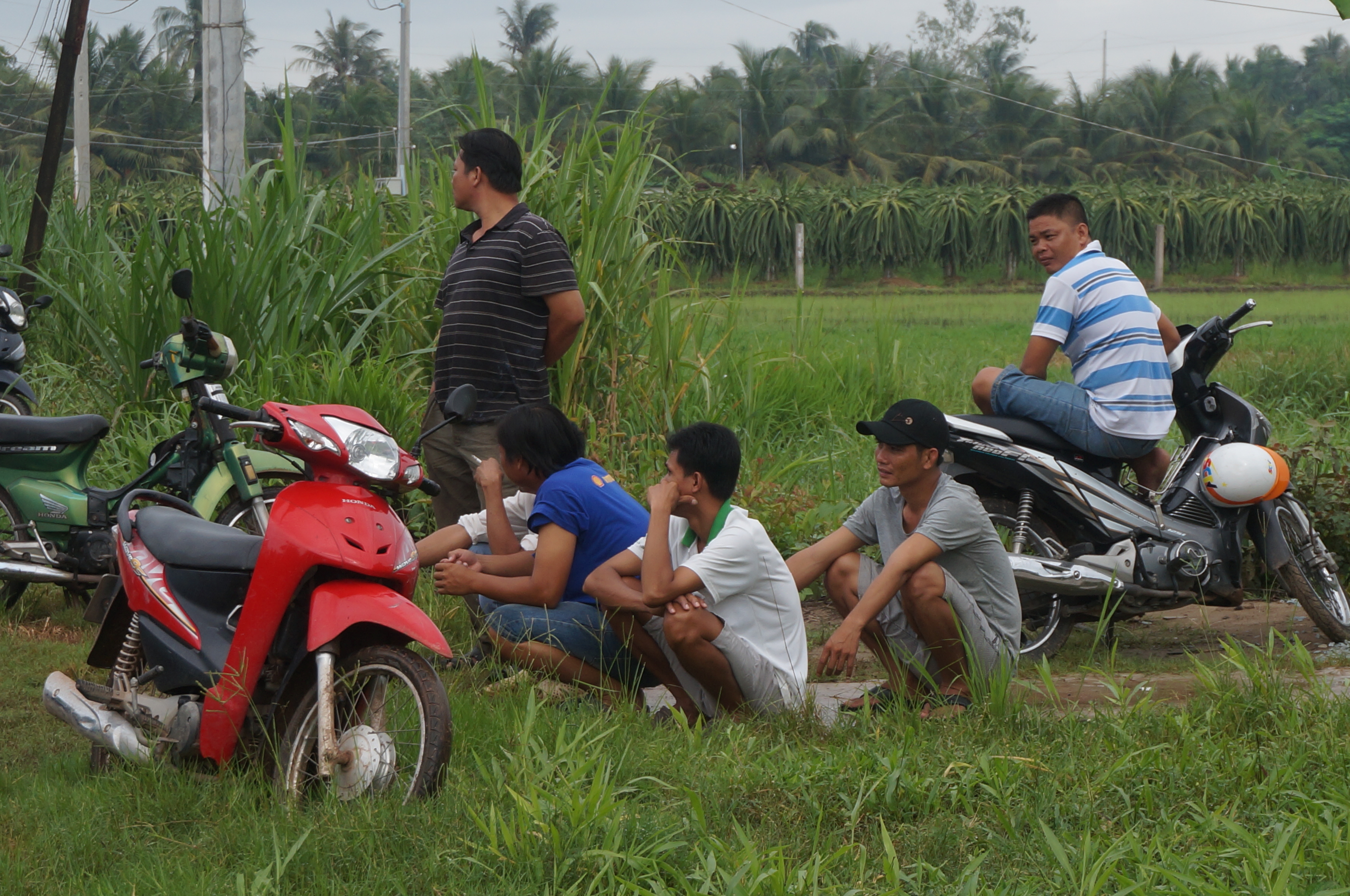 
Đ&ocirc;ng đảo người hiếu kỳ đến nghe ng&oacute;ng, theo d&otilde;i
