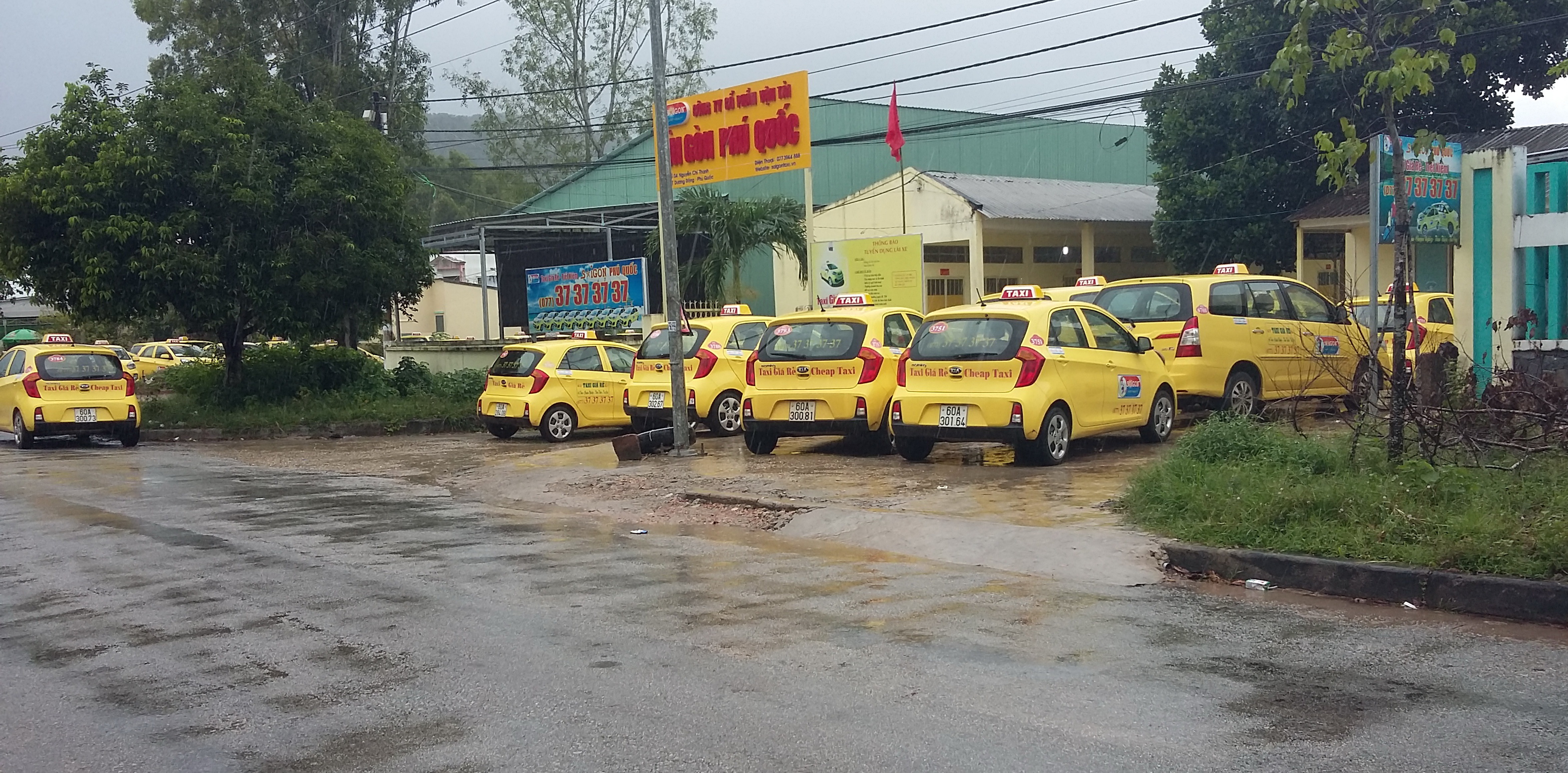 Nhiều tài xế quyết bỏ lại xe trước cổng chi nhánh của công ty.