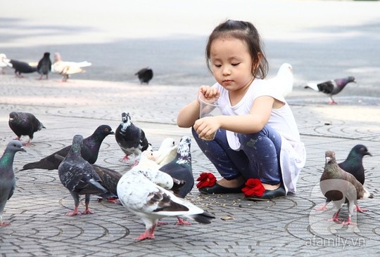 Hạnh phúc mong manh