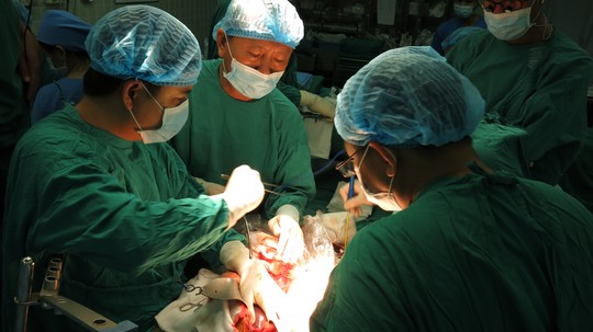 Việt Nam sẵn sàng kế hoạch cho ca ghép đầu người