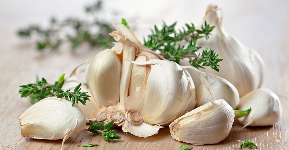 
Tỏi gi&uacute;p hỗ trợ chức năng gan, b&agrave;ng quang v&agrave; đẩy l&ugrave;i c&aacute;c vấn đề dạ d&agrave;y

