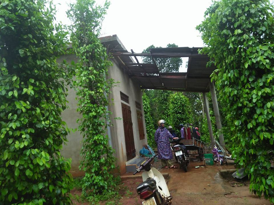 Lốc xoáy khiến nhà dân bị tốc mái