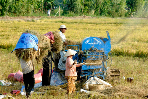 Các dự án khởi nghiệp có “chết yểu”?