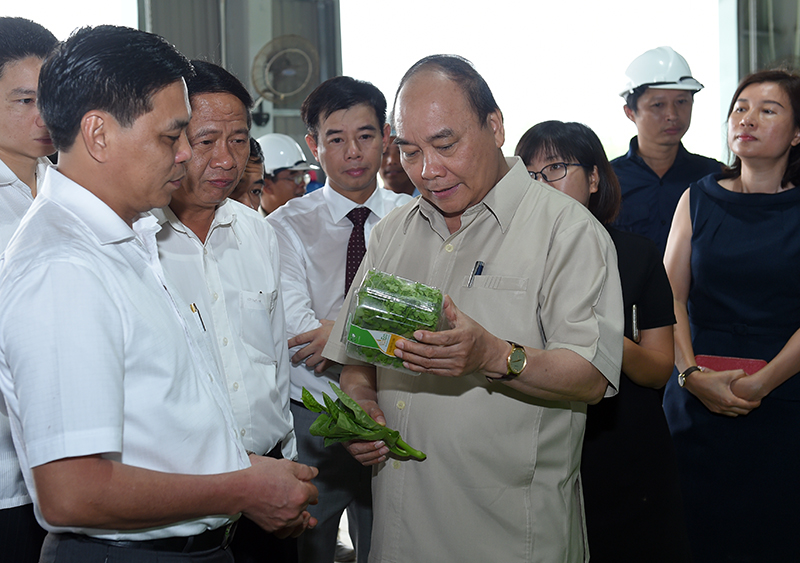 Thủ tướng: Mở rộng hạn điền, tích tụ ruộng đất để sản xuất lớn