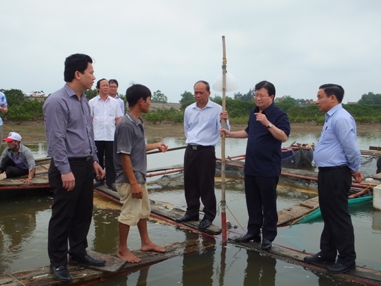 Tìm nguyên nhân cá chết hàng loạt: Có thể thuê nước ngoài