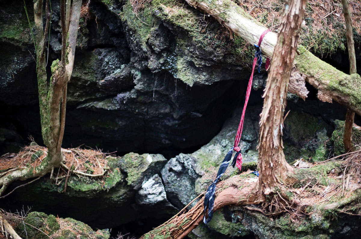 
Khung cảnh chết ch&oacute;c b&ecirc;n trong khu rừng Aokigahara. Ảnh: The Straw Hat Backpacker, Japan Times
