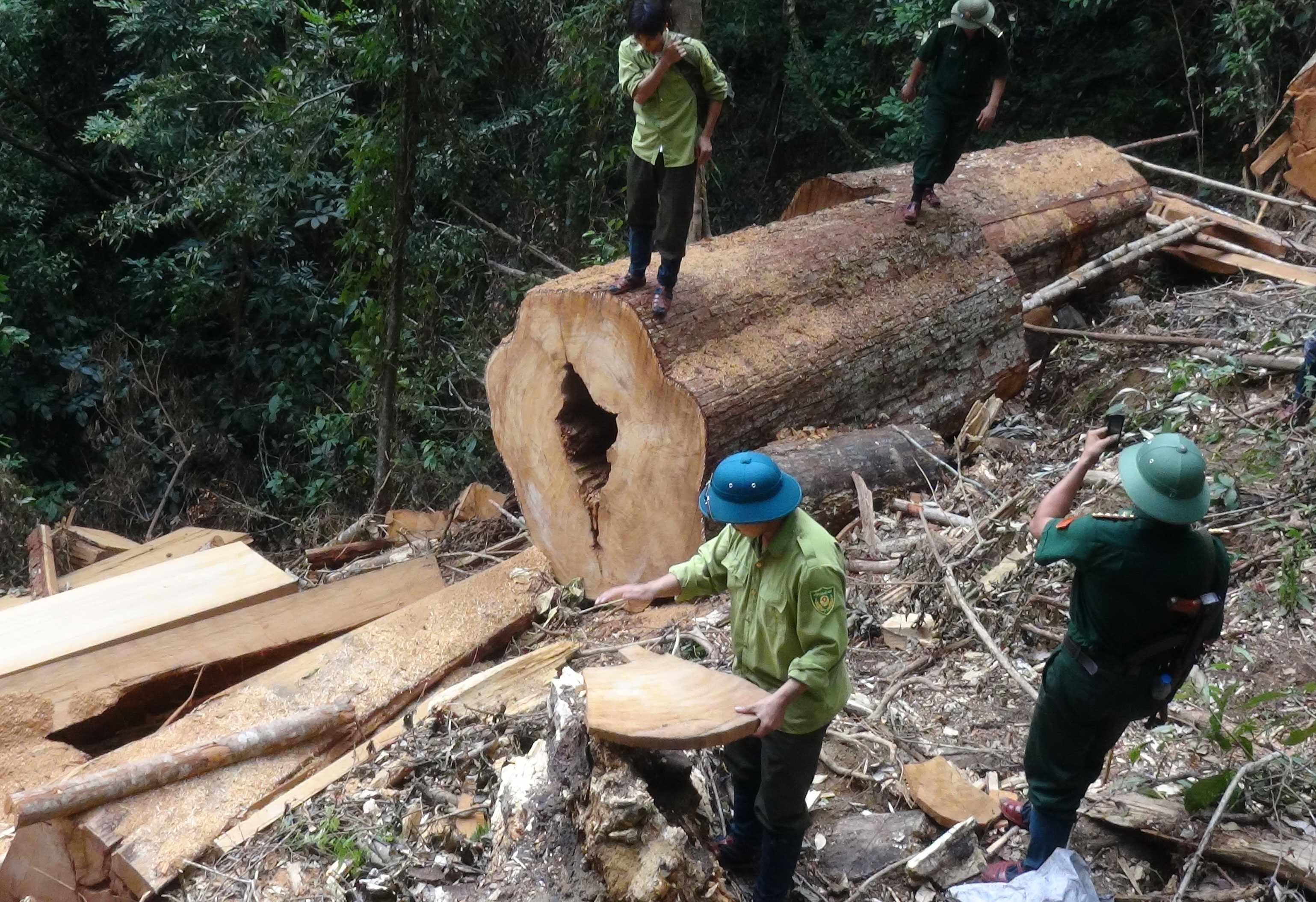 Hậu quả nhãn tiền