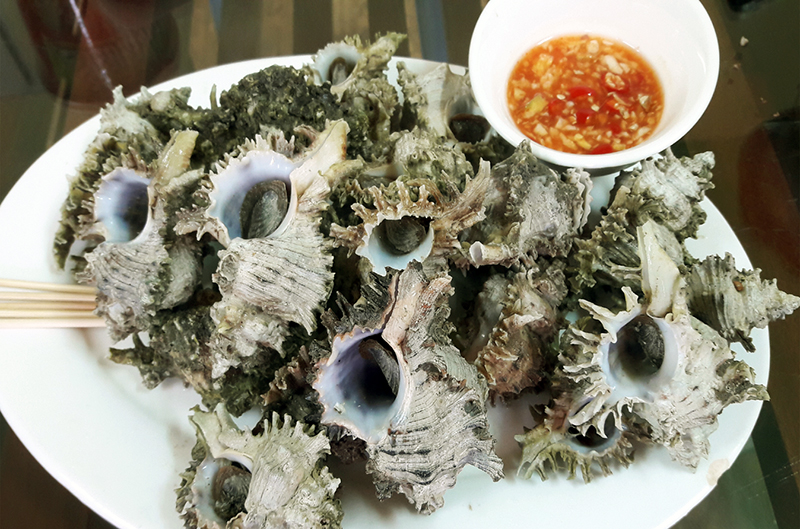 "Phố ốc" ở trung tâm Hạ Long