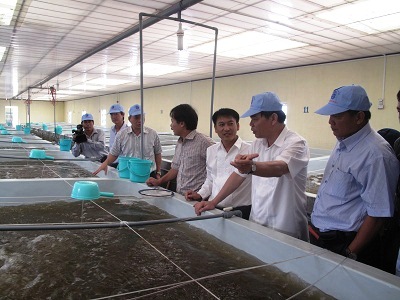 Thủy sản: Không thể đi ‘dép lê’ để hội nhập
