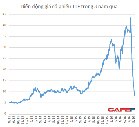 Cổ phiếu TTF bốc hơi 80% giá trị sau 1 tháng giảm sàn