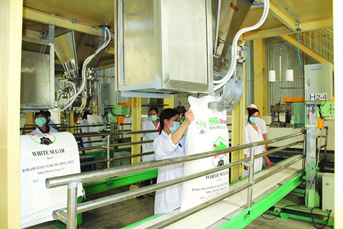 
Sản xuất m&iacute;a đường của Tập đo&agrave;n Ho&agrave;ng Anh Gia Lai ẢNH: MINH TRẦN
