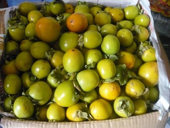 Dân văn phòng lên mạng bán hồng giòn Cao Bằng
