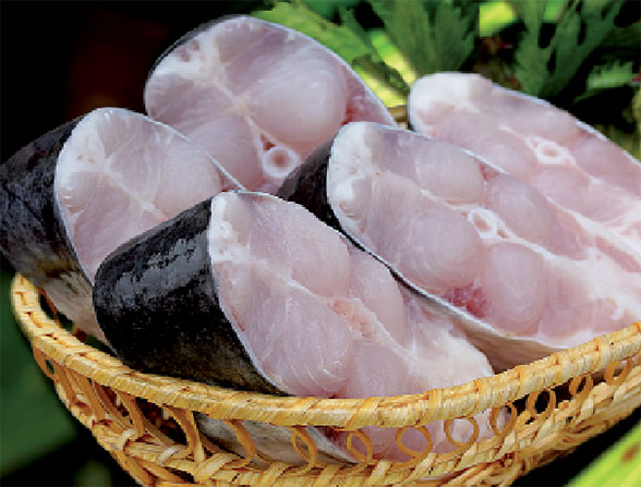 Vì sao Cỏ May lại đi bán cá tra?