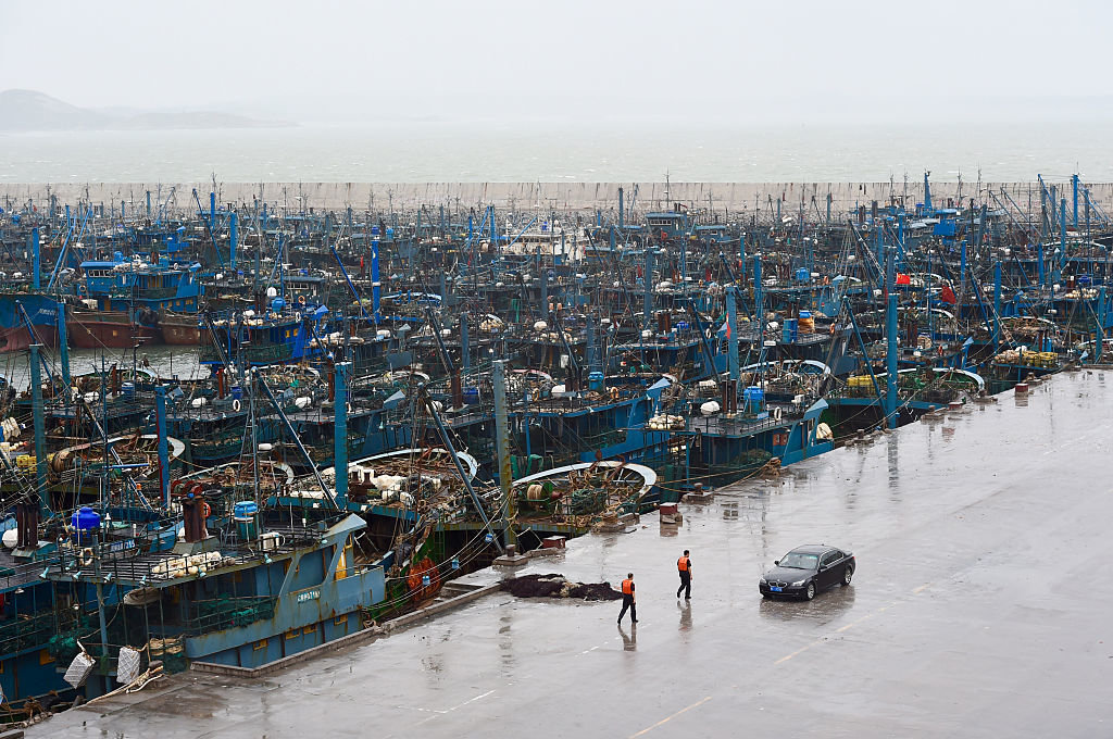 
T&agrave;u c&aacute; nằm cảng ở Ph&uacute;c Kiến. Ảnh: T&acirc;n Hoa X&atilde;
