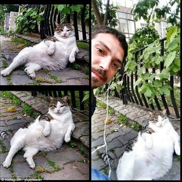 
Đ&acirc;y đ&uacute;ng l&agrave; d&aacute;ng ngồi ưa th&iacute;ch của Timbili. Ảnh: Instagram
