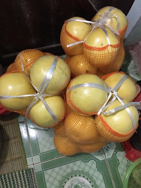 Loại bưởi lạ này nhìn quả to, bên ngoài vỏ được bọc một lớp nilon mỏng