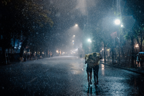 Dưới những bóng điện sáng rực, trời Hà Nội mưa lấp lánh như những ánh sao đêm.