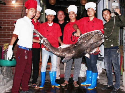 
Con c&aacute; lăng nặng 75kg vừa được vận chuyển tới H&agrave; Nội v&agrave;o 2h h&ocirc;m 10-11. Ảnh: Xu&acirc;n B&aacute;ch.
