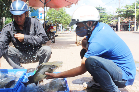 Đi săn cá đặc sản