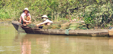 Vợ chồng anh Vũ Văn Thắng với những chiếc lọp đặt bẫy tôm càng xanh dọc sông Đồng Nai, đoạn gần xã Tam An (huyện Long Thành).