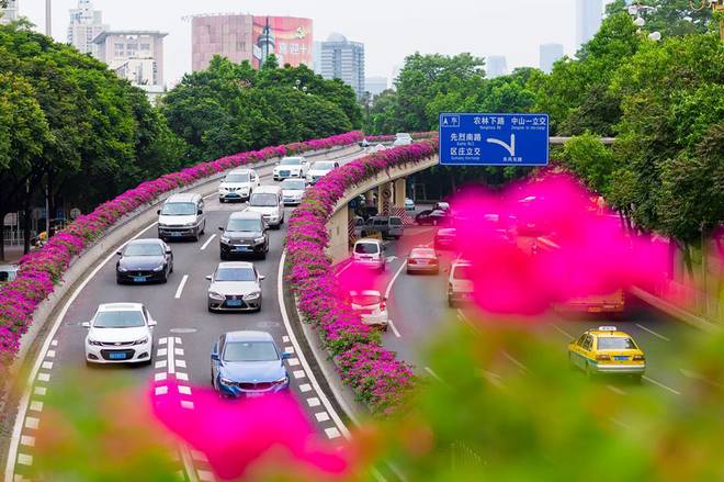 
 

Kh&ocirc;ng chỉ l&agrave; th&agrave;nh phố hiện đại thứ 3 ở Trung Quốc, chỉ sau Bắc Kinh v&agrave; Thượng Hải, m&agrave; Quảng Ch&acirc;u c&ograve;n được biết tới l&agrave; th&agrave;nh phố hoa. Nh&agrave; quản l&yacute; đ&ocirc; thị đ&atilde; cho trồng nhiều loại hoa xen kẽ trong diện t&iacute;ch đất ở, c&aacute;c trung t&acirc;m h&agrave;nh ch&iacute;nh, thương mại...

 


 

C&aacute;c loại hoa thay phi&ecirc;n nhau nở, mang lại h&igrave;nh ảnh đẹp như ng&ocirc;n t&igrave;nh cho th&agrave;nh phố hiện đại.

 


 

Quảng Ch&acirc;u cũng l&agrave; điểm đến kh&aacute; quen thuộc với d&acirc;n bu&ocirc;n Việt Nam. Rất nhiều người Việt thường xuy&ecirc;n qua lại th&agrave;nh phố n&agrave;y để lấy h&agrave;ng, kết hợp du lịch.

 


 

Ngo&agrave;i c&aacute;c trung t&acirc;m thương mại, c&aacute;c khu chợ khổng lồ, đến Quảng Ch&acirc;u, bạn c&ograve;n c&oacute; nhiều sự lựa chọn kh&aacute;c để tham quan, kh&aacute;m ph&aacute; th&agrave;nh phố gi&agrave;u bản sắc n&agrave;y.

 


 

Từ Việt Nam, bạn c&oacute; thể đi &ocirc;t&ocirc; sang Nam Ninh hoặc đi t&agrave;u li&ecirc;n vận từ ga Gia L&acirc;m; sau đ&oacute; bắt t&agrave;u cao tốc từ Nam Ninh tới Quảng Ch&acirc;u chỉ sau 4 giờ.

 


 

T&agrave;u cao tốc c&oacute; thiết kế hiện đại, nhiều sự lựa chọn cho du kh&aacute;ch như khoang thương gia, khoang hạng 1 v&agrave; hạng 2, với gi&aacute; từ 170 tệ (khoảng 560.000 đồng một chiều).

 

 

 





