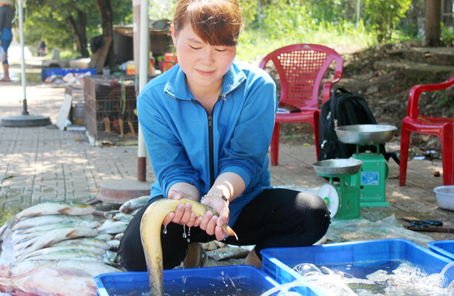 
Chị Lương Hoàng Ngọc Hà, chủ vựa cá đặc sản ở Thị tr&acirc;́n Vĩnh An (huy&ecirc;̣n Vĩnh Cửu) mới mua được con cá chạch l&acirc;́u &ldquo;khủng&rdquo;.

