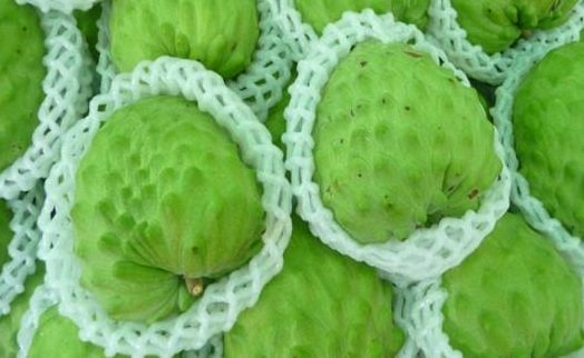 Mãng cầu Đài Loan giá gần 1 triệu đồng/quả