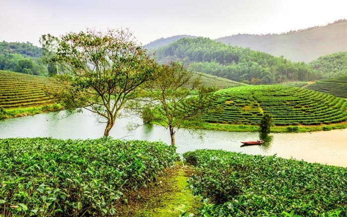 Chốn b&igrave;nh y&ecirc;n v&agrave; khung cảnh trữ t&igrave;nh ở đảo ch&egrave; Cầu Cau khiến bao người m&ecirc; đắm (Ảnh Son Viet).