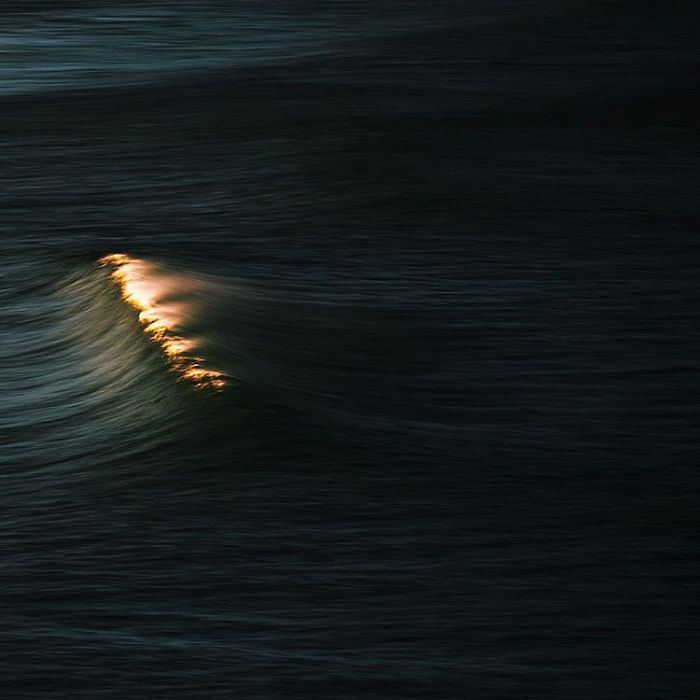 Ảnh: Lloyd Meudell