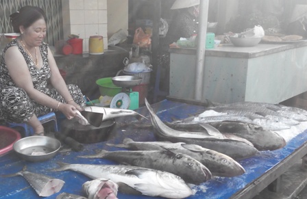 
Ở chợ hải sản n&agrave;y nhiều nhất vẫn l&agrave; c&aacute;c loại c&aacute; biển
