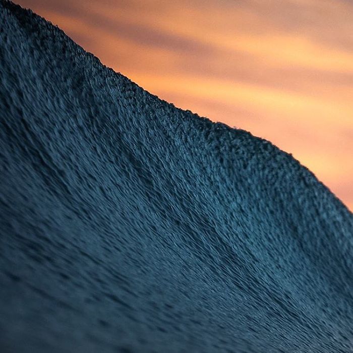Ảnh: Lloyd Meudell