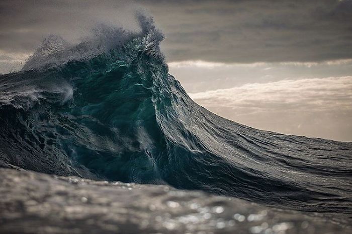 Ảnh: Lloyd Meudell
