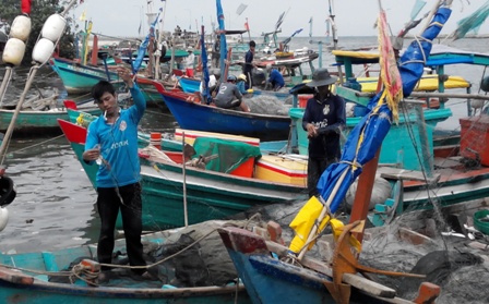 
C&aacute;c t&agrave;u c&aacute; đ&aacute;nh bắt nhỏ thường v&agrave;o s&ocirc;ng Dương Đ&ocirc;ng để b&aacute;n c&aacute;c loại hải sản đ&aacute;nh bắt được
