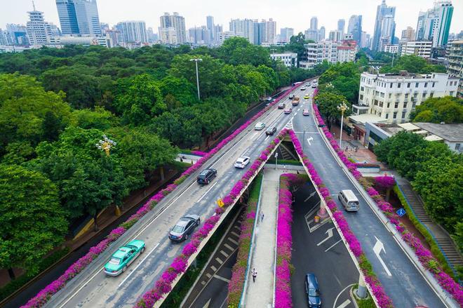 
 

Kh&ocirc;ng chỉ l&agrave; th&agrave;nh phố hiện đại thứ 3 ở Trung Quốc, chỉ sau Bắc Kinh v&agrave; Thượng Hải, m&agrave; Quảng Ch&acirc;u c&ograve;n được biết tới l&agrave; th&agrave;nh phố hoa. Nh&agrave; quản l&yacute; đ&ocirc; thị đ&atilde; cho trồng nhiều loại hoa xen kẽ trong diện t&iacute;ch đất ở, c&aacute;c trung t&acirc;m h&agrave;nh ch&iacute;nh, thương mại...

 


 

C&aacute;c loại hoa thay phi&ecirc;n nhau nở, mang lại h&igrave;nh ảnh đẹp như ng&ocirc;n t&igrave;nh cho th&agrave;nh phố hiện đại.

 


 

Quảng Ch&acirc;u cũng l&agrave; điểm đến kh&aacute; quen thuộc với d&acirc;n bu&ocirc;n Việt Nam. Rất nhiều người Việt thường xuy&ecirc;n qua lại th&agrave;nh phố n&agrave;y để lấy h&agrave;ng, kết hợp du lịch.

 


 

Ngo&agrave;i c&aacute;c trung t&acirc;m thương mại, c&aacute;c khu chợ khổng lồ, đến Quảng Ch&acirc;u, bạn c&ograve;n c&oacute; nhiều sự lựa chọn kh&aacute;c để tham quan, kh&aacute;m ph&aacute; th&agrave;nh phố gi&agrave;u bản sắc n&agrave;y.

 


 

Từ Việt Nam, bạn c&oacute; thể đi &ocirc;t&ocirc; sang Nam Ninh hoặc đi t&agrave;u li&ecirc;n vận từ ga Gia L&acirc;m; sau đ&oacute; bắt t&agrave;u cao tốc từ Nam Ninh tới Quảng Ch&acirc;u chỉ sau 4 giờ.

 


 

T&agrave;u cao tốc c&oacute; thiết kế hiện đại, nhiều sự lựa chọn cho du kh&aacute;ch như khoang thương gia, khoang hạng 1 v&agrave; hạng 2, với gi&aacute; từ 170 tệ (khoảng 560.000 đồng một chiều).

 

 

 





