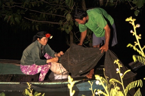 Trời còn rất tối, vợ chồng anh Bắc (xã Bình Thạnh- Hồng Ngự) phải thức đi đổ dớn.