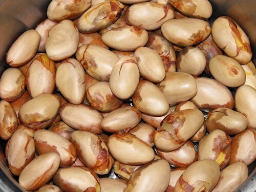Hạt mít có công dụng dưỡng da tuyệt vời