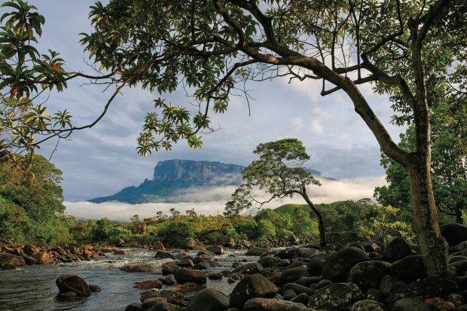 
N&uacute;i Roraima ở Venezuela - Ảnh: National Geographic
