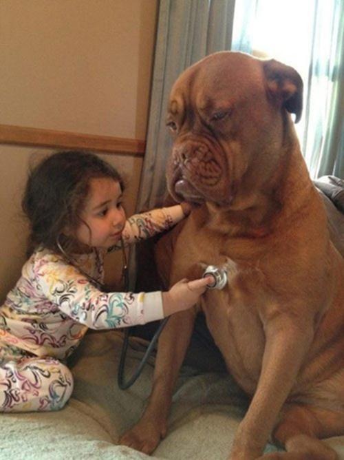 Đa số trẻ nhỏ đều c&oacute; một t&igrave;nh y&ecirc;u thương đặc biệt d&agrave;nh cho động vật. Ch&uacute;ng cho rằng, động vật cũng c&oacute; thể nghe, hiểu thấu những điều ch&uacute;ng n&oacute;i. V&agrave; đ&ocirc;i khi ch&uacute;ng cũng lo lắng rằng liệu người bạn ch&oacute; n&agrave;y của m&igrave;nh c&oacute; đang ốm như m&igrave;nh kh&ocirc;ng nhỉ?.