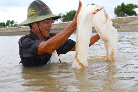 Nghề đẩy ruốc là nghề tay trái của người dân nơi đây, số tiền thu về từ việc bán ruốc giúp họ trang trải cuộc sống