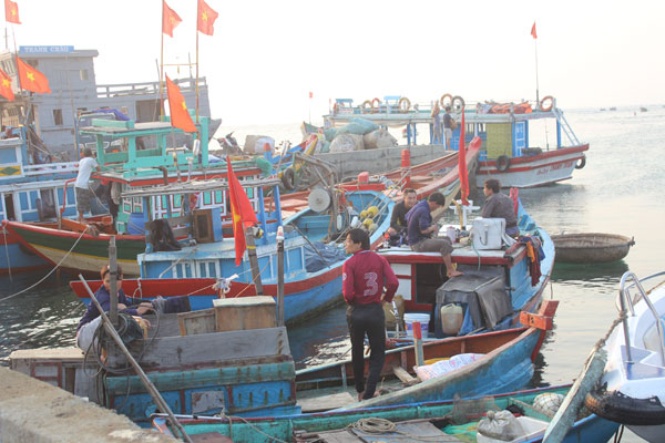 Những con tàu neo bờ chờ ăn hàng ra khơi.