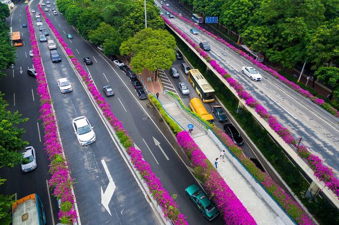 
 

Quảng Ch&acirc;u cũng l&agrave; điểm đến kh&aacute; quen thuộc với d&acirc;n bu&ocirc;n Việt Nam. Rất nhiều người Việt thường xuy&ecirc;n qua lại th&agrave;nh phố n&agrave;y để lấy h&agrave;ng, kết hợp du lịch.

 


 

Ngo&agrave;i c&aacute;c trung t&acirc;m thương mại, c&aacute;c khu chợ khổng lồ, đến Quảng Ch&acirc;u, bạn c&ograve;n c&oacute; nhiều sự lựa chọn kh&aacute;c để tham quan, kh&aacute;m ph&aacute; th&agrave;nh phố gi&agrave;u bản sắc n&agrave;y.

 


 

Từ Việt Nam, bạn c&oacute; thể đi &ocirc;t&ocirc; sang Nam Ninh hoặc đi t&agrave;u li&ecirc;n vận từ ga Gia L&acirc;m; sau đ&oacute; bắt t&agrave;u cao tốc từ Nam Ninh tới Quảng Ch&acirc;u chỉ sau 4 giờ.

 


 

T&agrave;u cao tốc c&oacute; thiết kế hiện đại, nhiều sự lựa chọn cho du kh&aacute;ch như khoang thương gia, khoang hạng 1 v&agrave; hạng 2, với gi&aacute; từ 170 tệ (khoảng 560.000 đồng một chiều).

 

 

 




