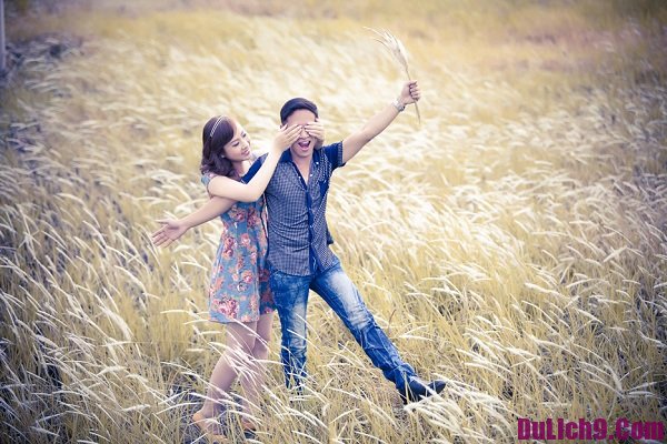 
C&aacute;nh đồng cỏ lau &ndash; địa điểm chụp ảnh cưới đẹp ở S&agrave;i G&ograve;n
