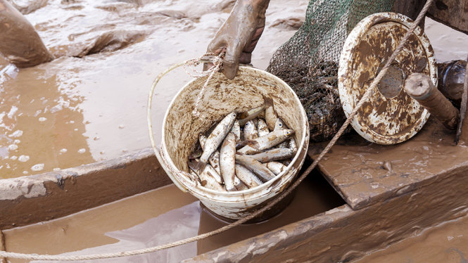 Thu về những chiến lợi phẩm tươi ngon - Ảnh: Nam Phạm