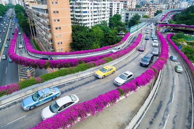 
 

Từ Việt Nam, bạn c&oacute; thể đi &ocirc;t&ocirc; sang Nam Ninh hoặc đi t&agrave;u li&ecirc;n vận từ ga Gia L&acirc;m; sau đ&oacute; bắt t&agrave;u cao tốc từ Nam Ninh tới Quảng Ch&acirc;u chỉ sau 4 giờ.

 


 

T&agrave;u cao tốc c&oacute; thiết kế hiện đại, nhiều sự lựa chọn cho du kh&aacute;ch như khoang thương gia, khoang hạng 1 v&agrave; hạng 2, với gi&aacute; từ 170 tệ (khoảng 560.000 đồng một chiều).

 

 

 

