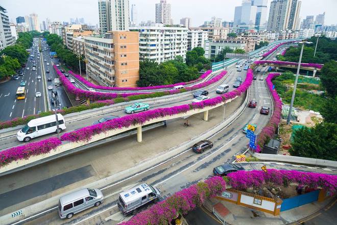 
 

Từ Việt Nam, bạn c&oacute; thể đi &ocirc;t&ocirc; sang Nam Ninh hoặc đi t&agrave;u li&ecirc;n vận từ ga Gia L&acirc;m; sau đ&oacute; bắt t&agrave;u cao tốc từ Nam Ninh tới Quảng Ch&acirc;u chỉ sau 4 giờ.

 


 

T&agrave;u cao tốc c&oacute; thiết kế hiện đại, nhiều sự lựa chọn cho du kh&aacute;ch như khoang thương gia, khoang hạng 1 v&agrave; hạng 2, với gi&aacute; từ 170 tệ (khoảng 560.000 đồng một chiều).

 

 

 


