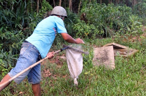 Chọc xong tổ, thợ săn d&ugrave;ng bột năng bỏ v&agrave;o bao tải. Thứ bột n&agrave;y sẽ đuổi kiến đi, đồng thời giữ những con non nằm lại.