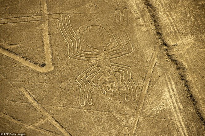 
H&igrave;nh vẽ cổ ở sa mạc Nazca thuộc miền nam Peru - Ảnh: Daily Mail
