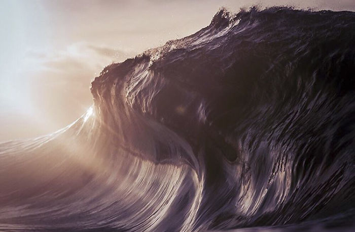 Ảnh: Lloyd Meudell