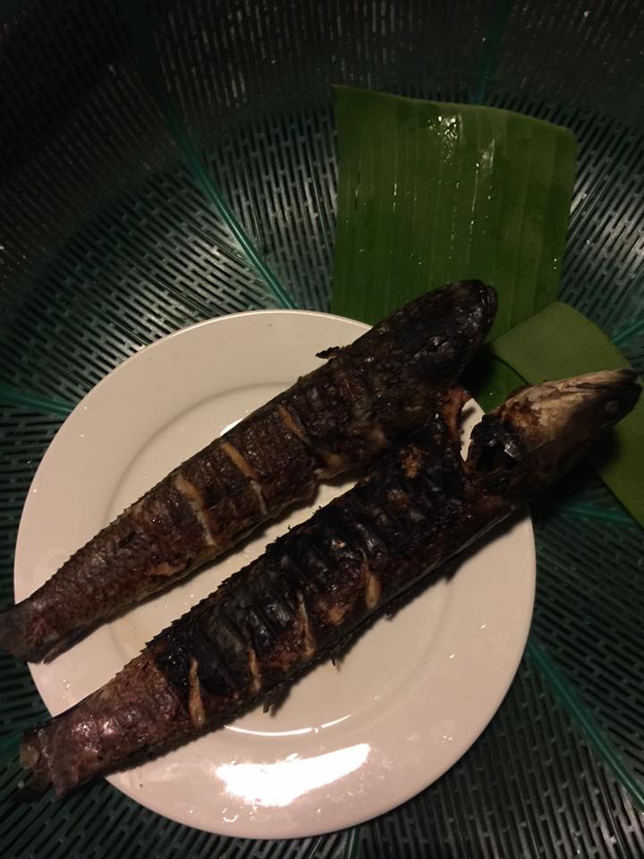 Cá lóc đồng nướng.