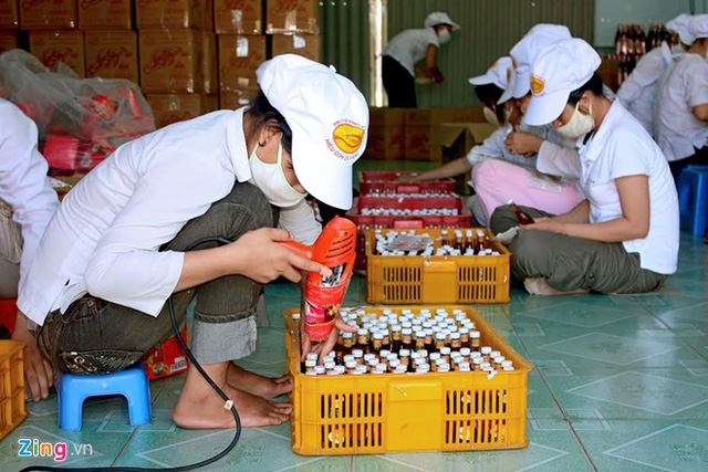 Thực hiện đ&uacute;ng quy định của ph&aacute;p luật về bảo hộ quyền sở hữu c&ocirc;ng nghiệp, sản phẩm đ&aacute;p ứng c&aacute;c điều kiện quy định về nguồn gốc xuất xứ v&agrave; chất lượng; bảo đảm an to&agrave;n vệ sinh thực phẩm mới được gắn tem, nh&atilde;n chỉ dẫn địa l&yacute;.